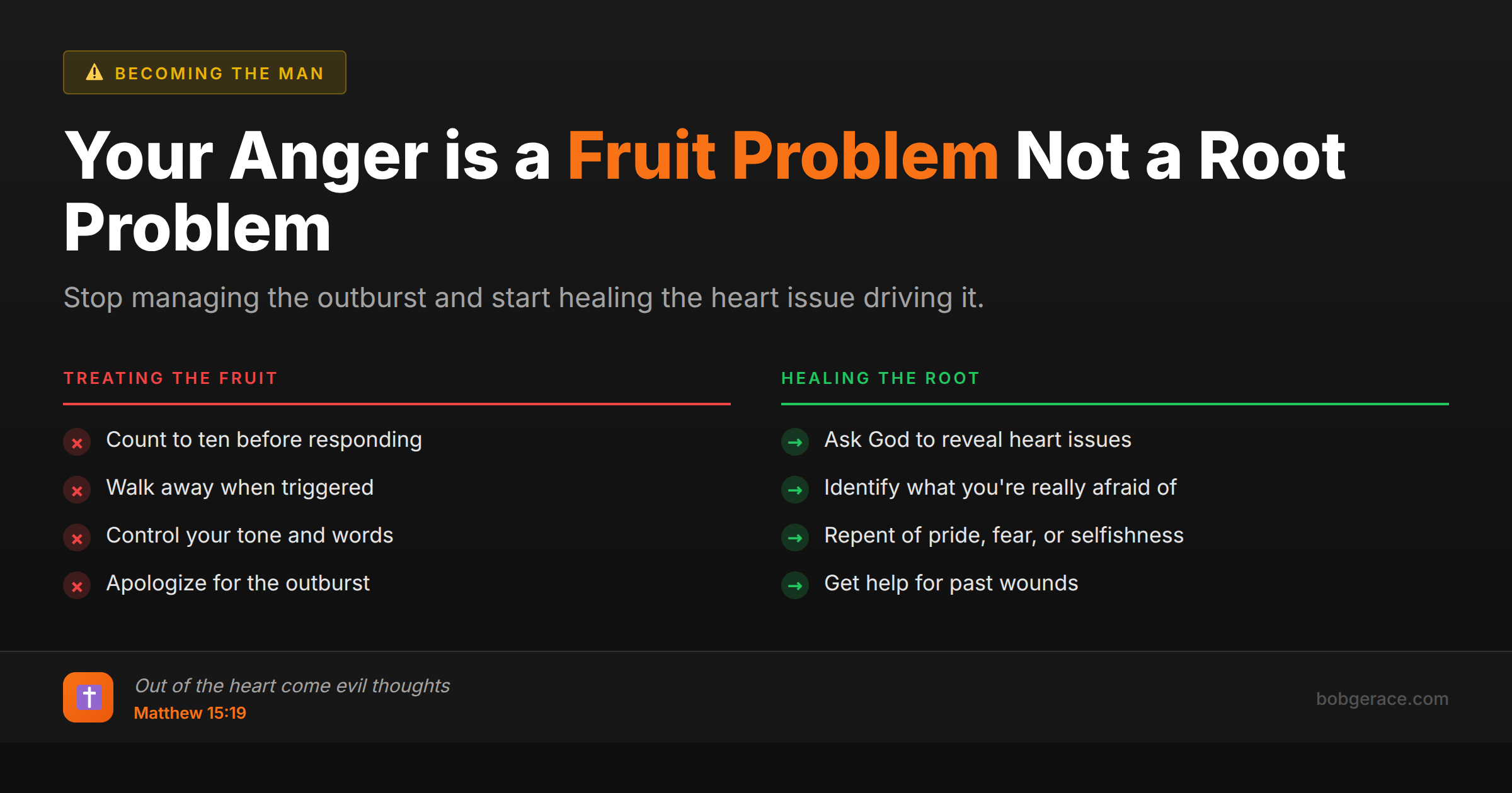 Marriage coaching infographic comparing surface anger management with deeper heart transformation, showing fruit vs root solutions