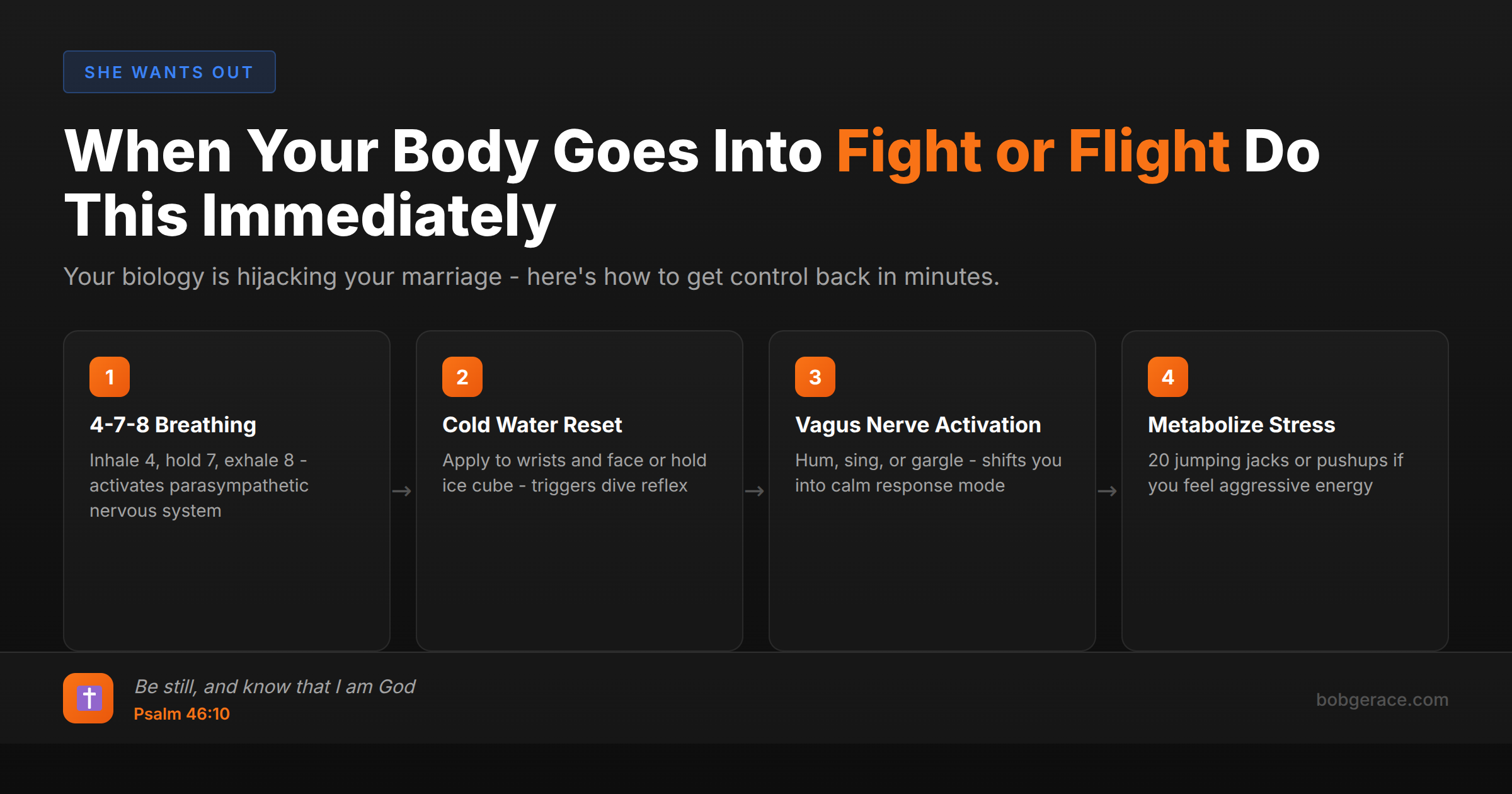 Timeline showing 4 immediate steps to regulate fight-or-flight response during marital conflict